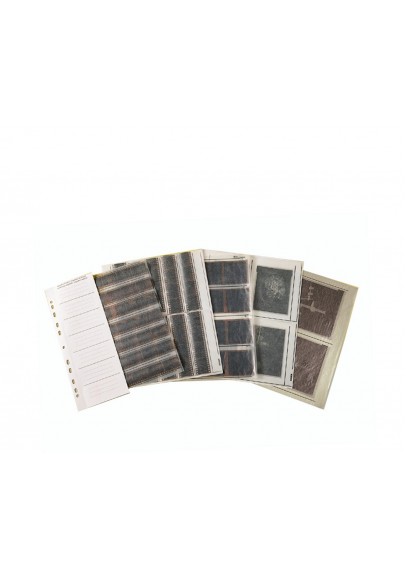 Glassine negative sleeves medium format (10 sheets)