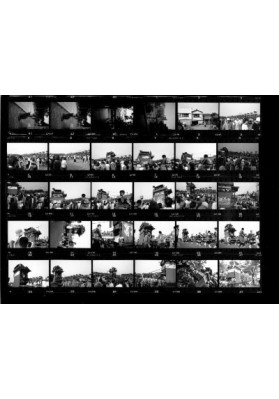 Contact Print for BW
